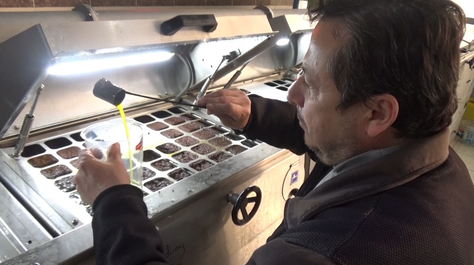 Aydın'da zeytinin yağa dönüşüm yolculuğu başladı