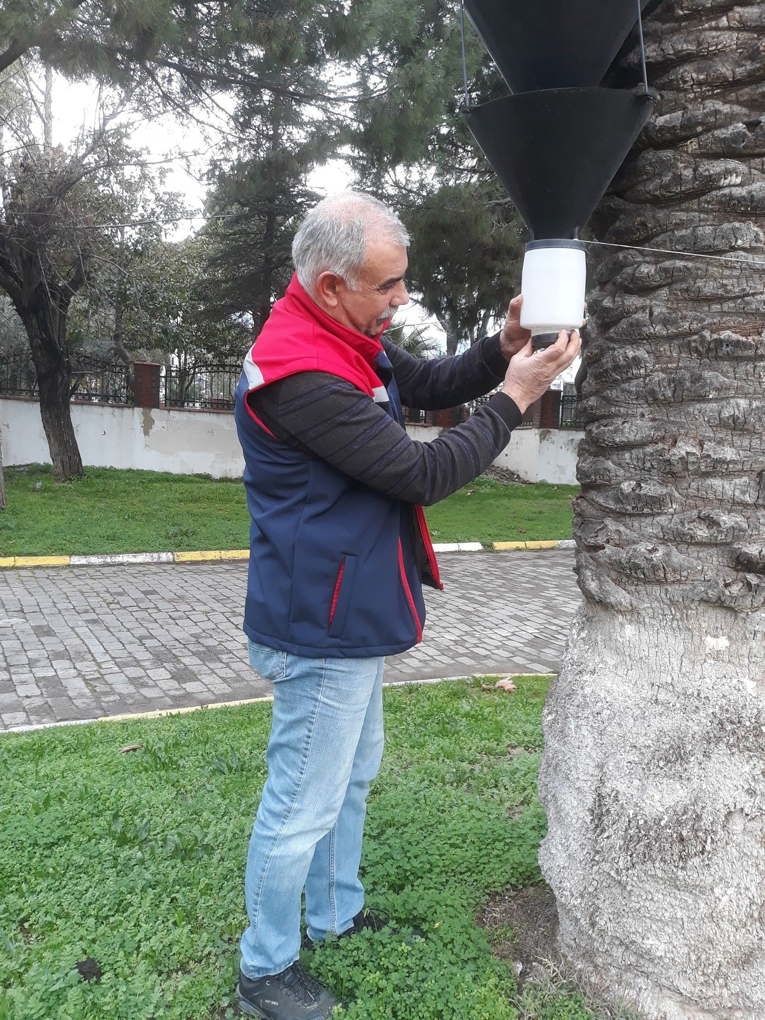 Zararlı sinek tuzakları kontrol edildi