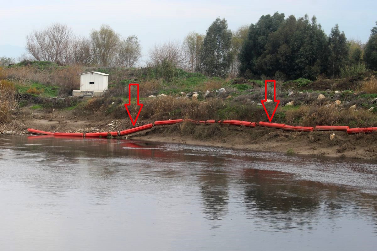 Menderes'e atılan hayvan leşleri, sağlığı tehdit ediyor