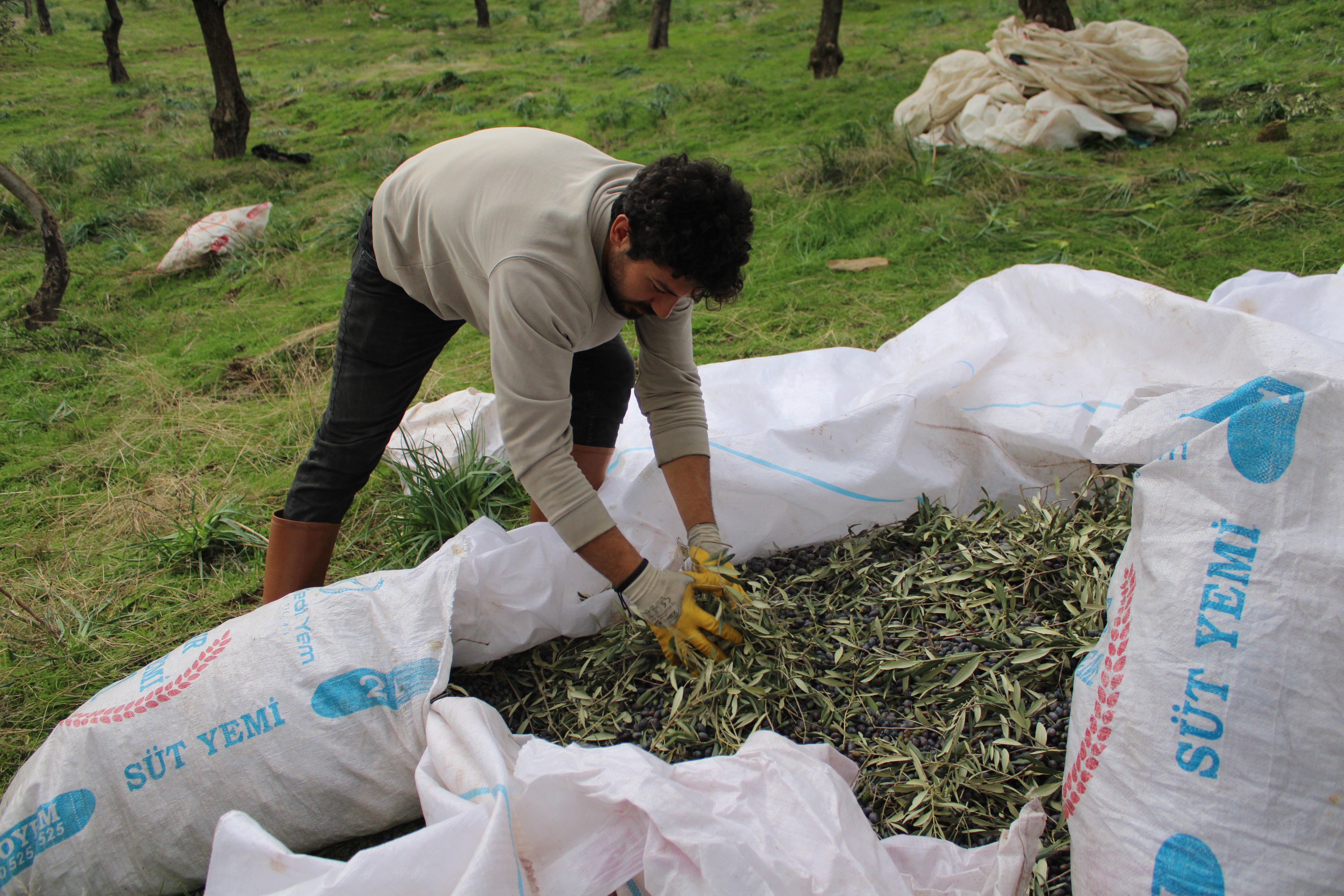 O aslında üniversite mezunu havacı