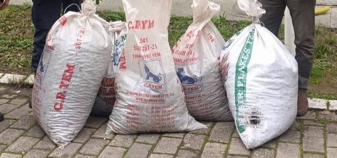 Zeytin hırsızları suçüstü yakalandı