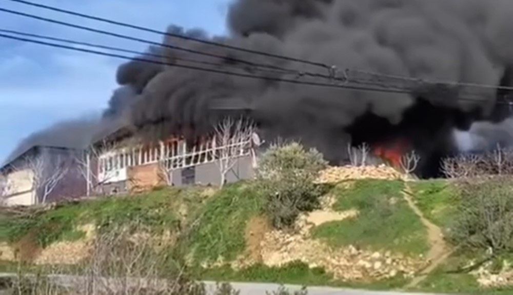 Bozdoğan'da iş yeri yangını
