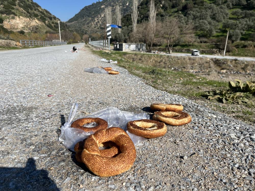 Sokak hayvanları için yollara bırakılan yiyecekler sağlığı tehdit ediyor