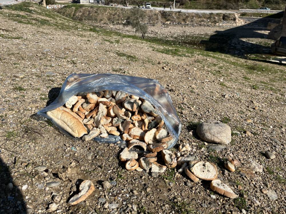 Sokak hayvanları için yollara bırakılan yiyecekler sağlığı tehdit ediyor