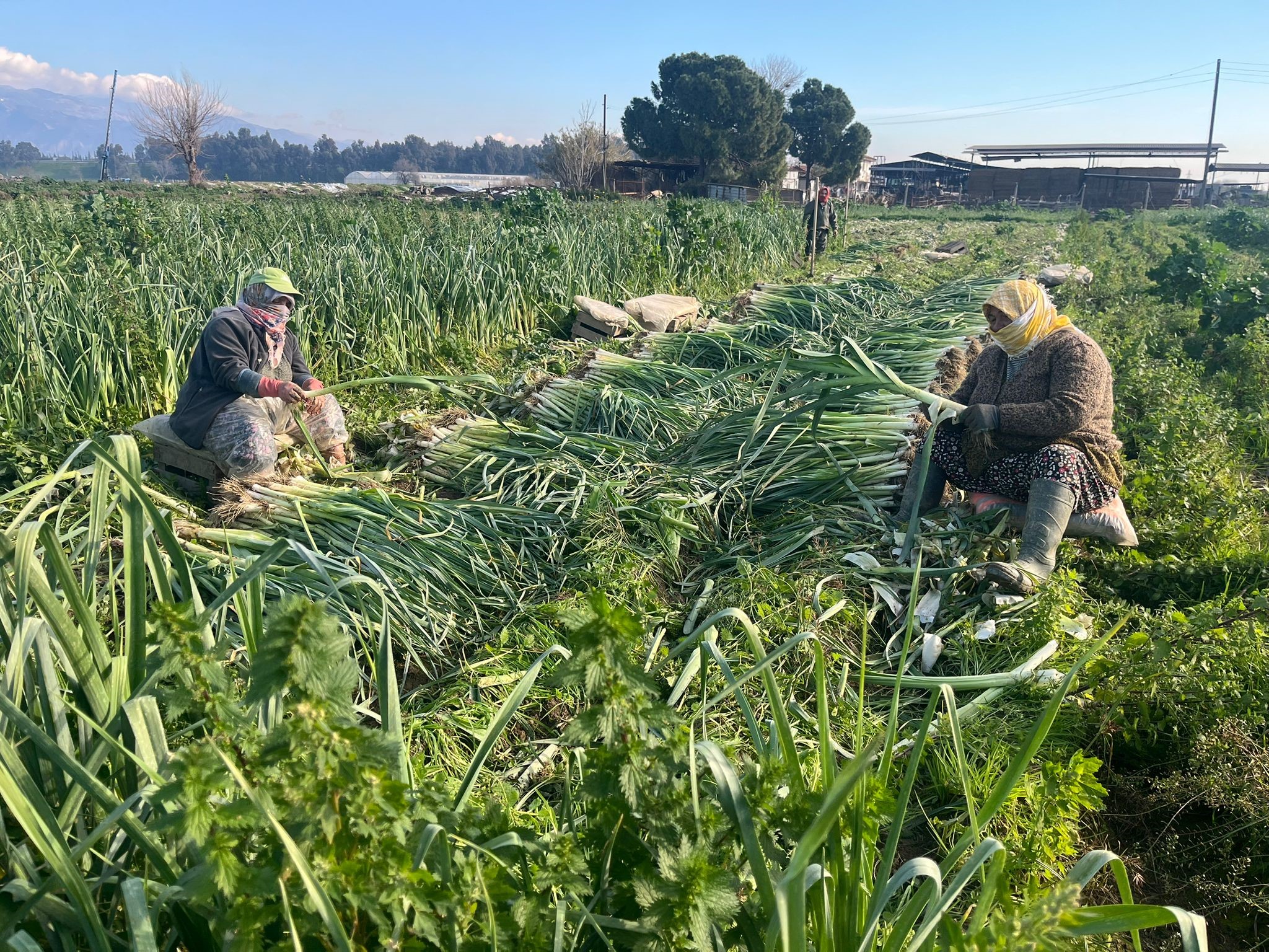 Çalışarak sağlığını koruyor ve ekonomik refahını sağlıyor