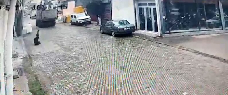 Aydın'da ilginç kaza