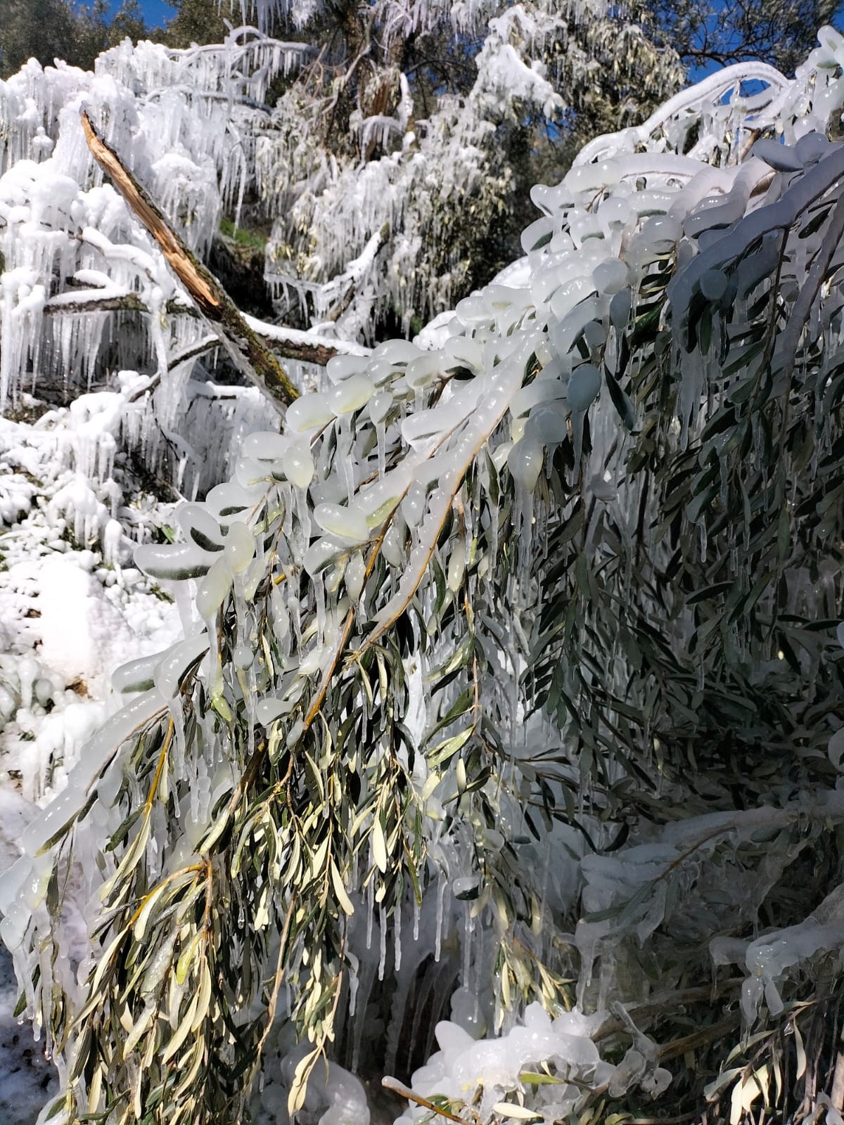 Patlayan su borusundan fışkıran sular görsel şölene dönüştü