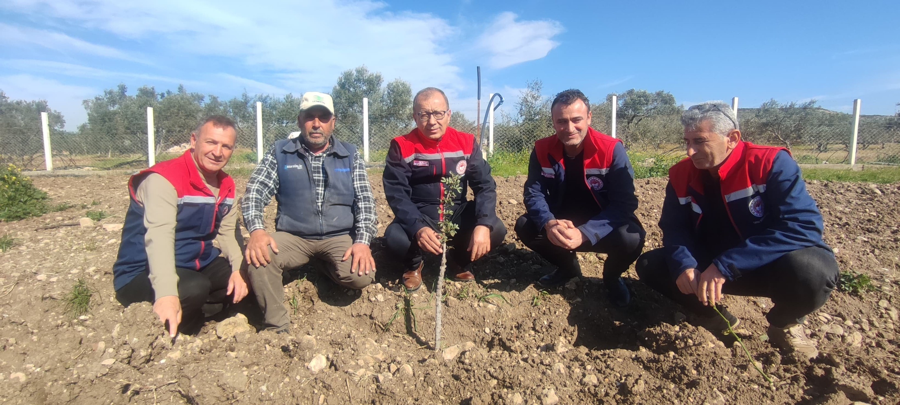 Kuşadası ve Didim'de 540 adet sakız fidanları toprakla buluştu