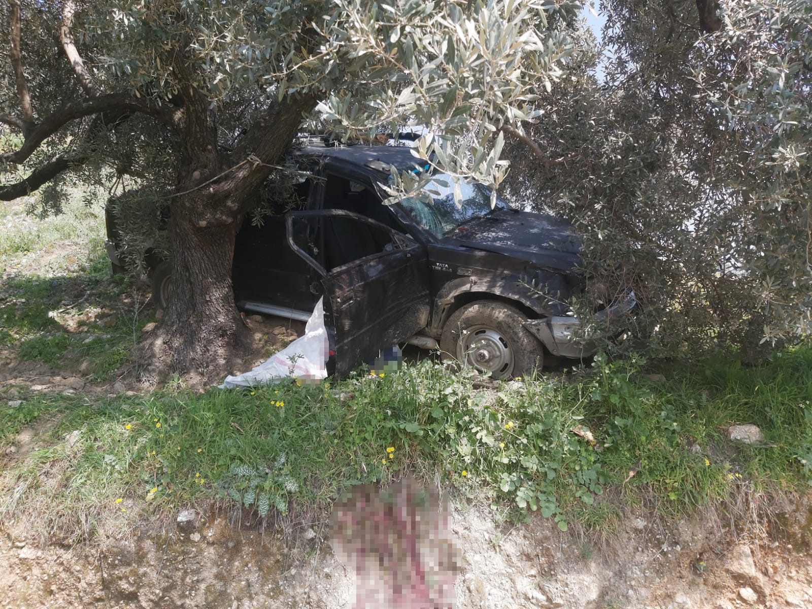 Aydın'da trafik kazası: 1 ölü
