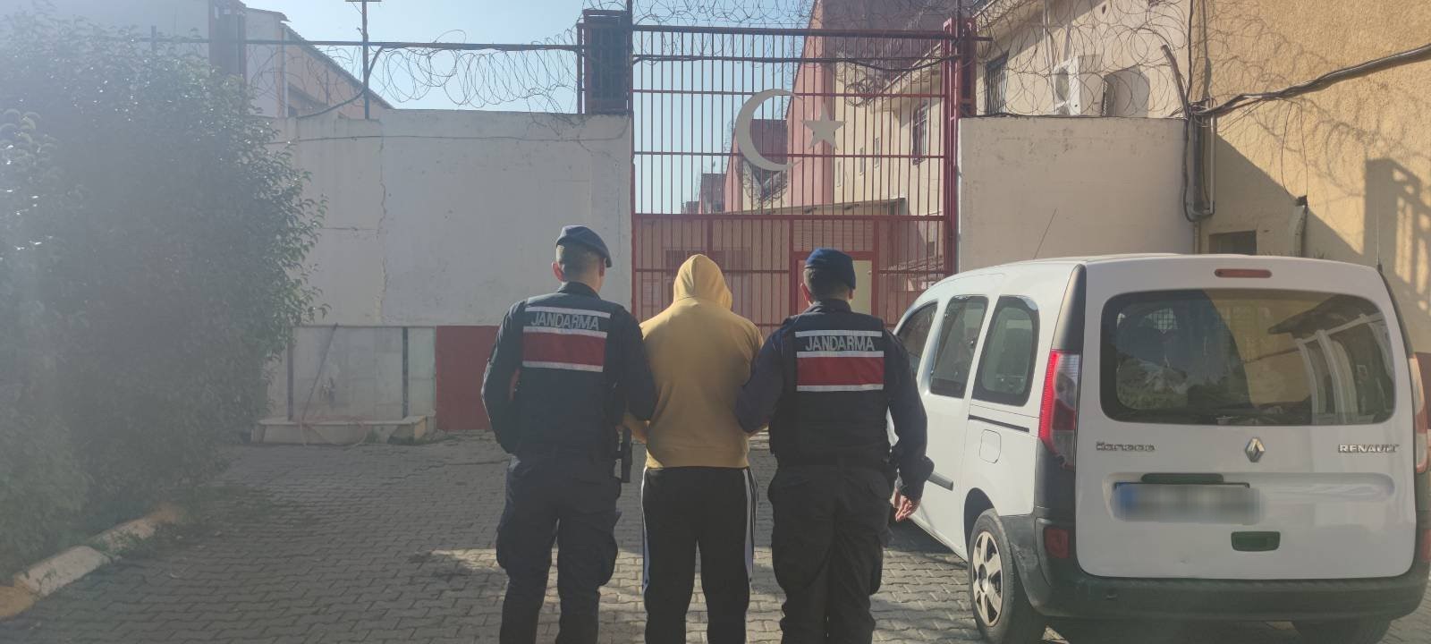 Zeytinyağı hırsızı jandarmadan kaçamadı