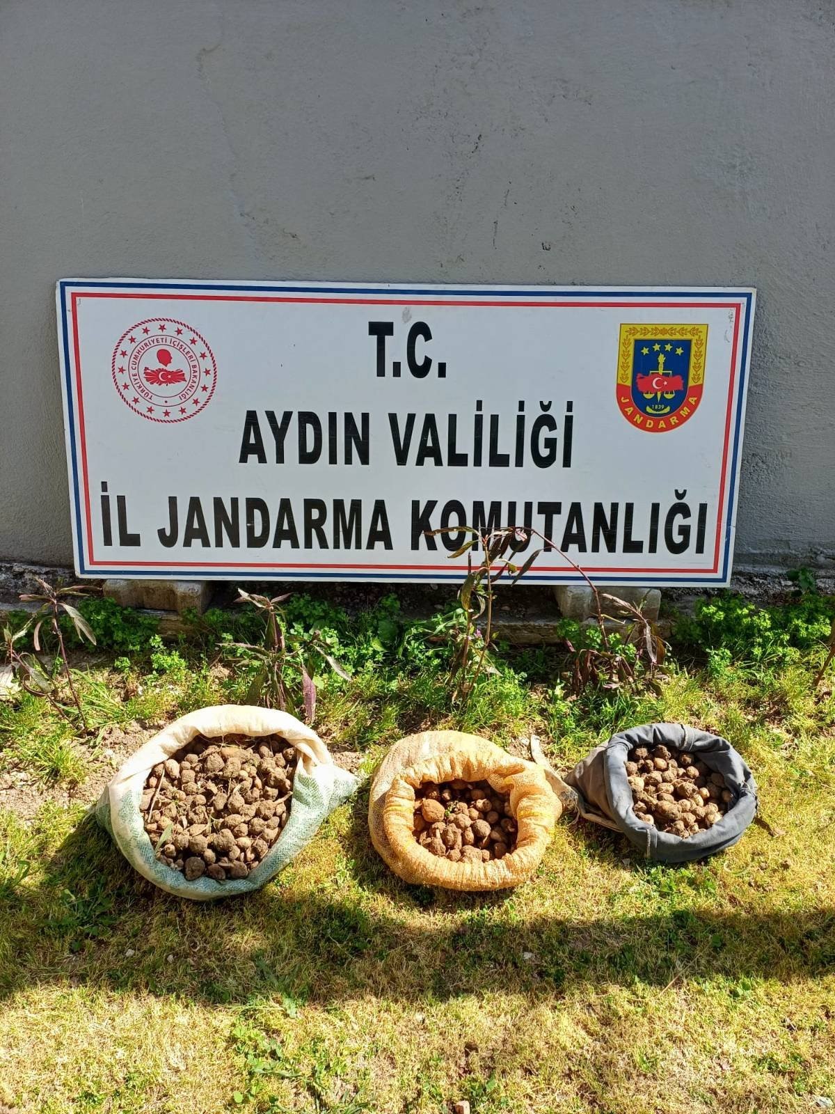 10 kilo salep toplarken yakalandılar