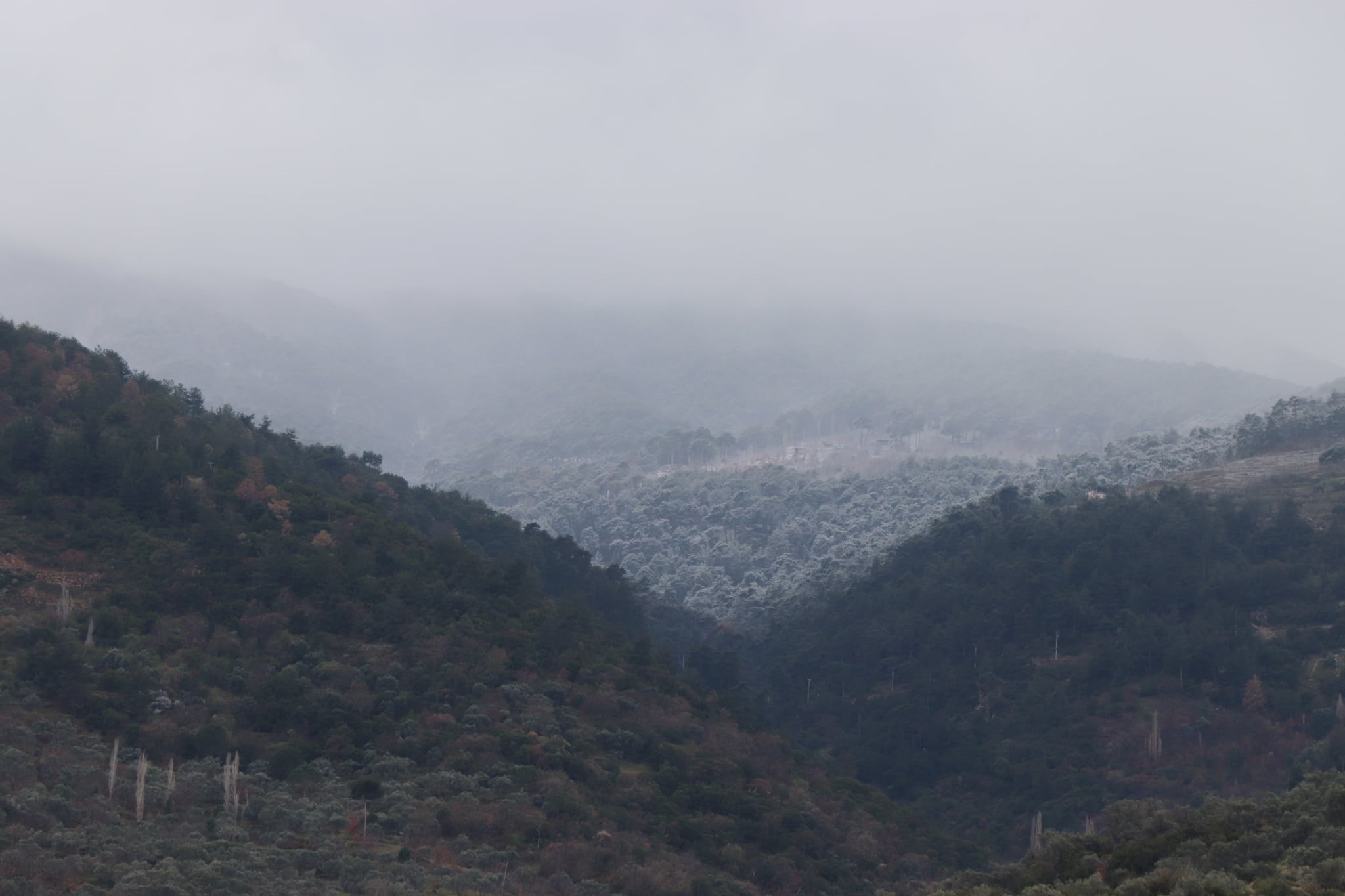 Aynı karede hem bahar, hem kış