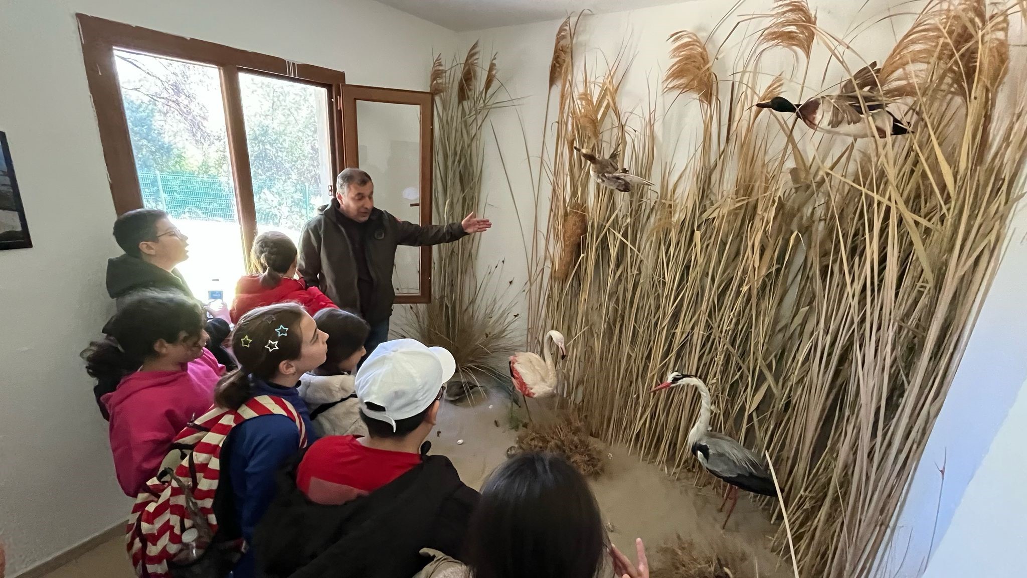 Öğrenciler yaban hayatını yakından tanıdı