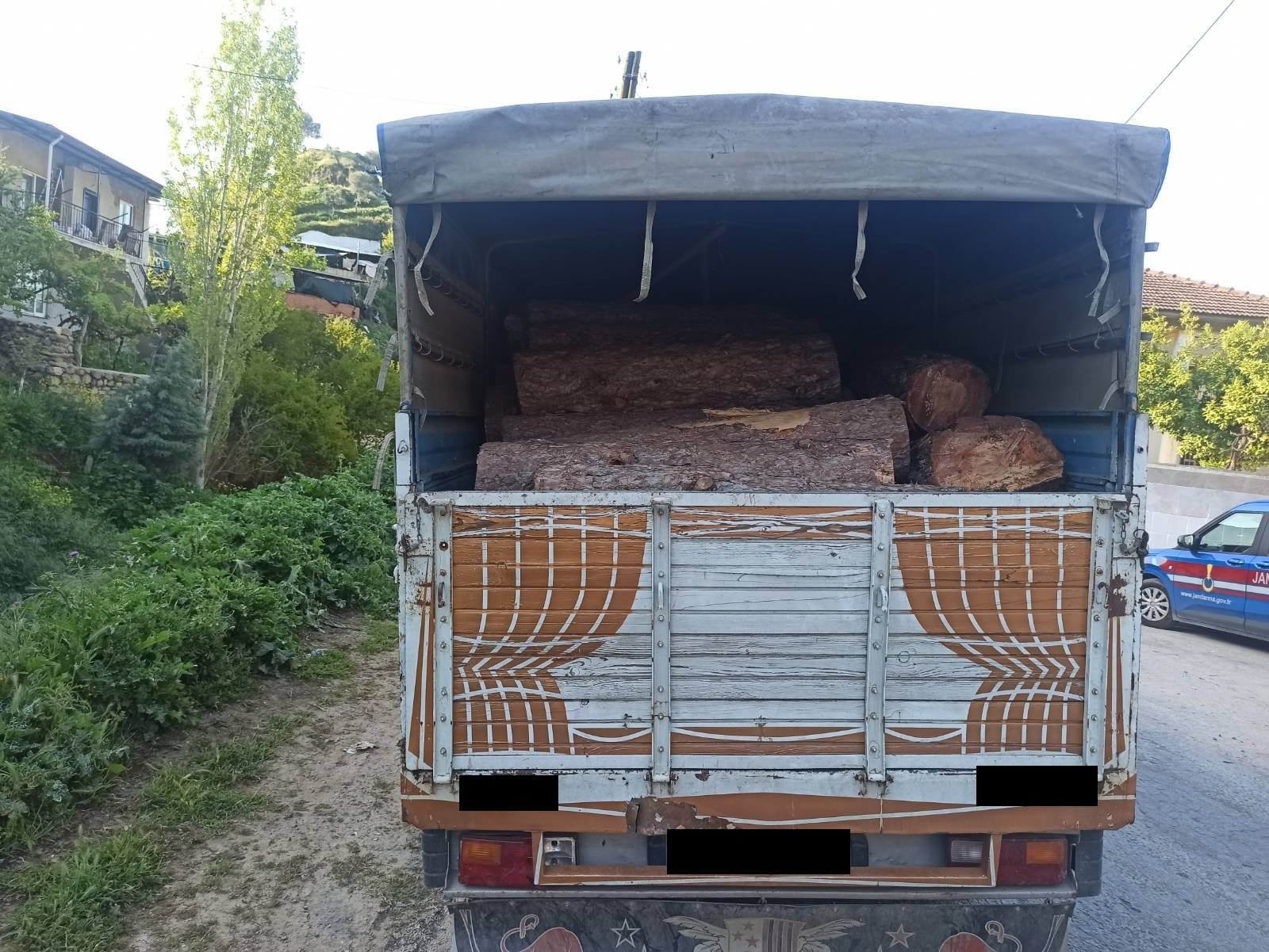 Kaçak orman ürünü ele geçirildi