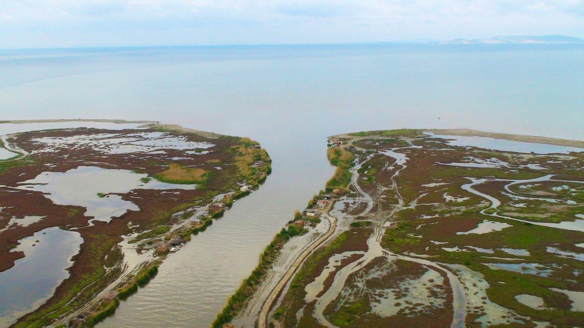 7 bin kilometrelik yolculuğunu Aydın'da tamamlayan yılan balığının geleceği görüşüldü