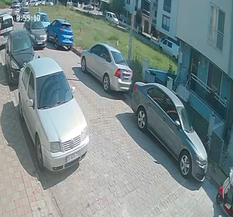 Aydın'da sınava giden öğrenciye köpek saldırdı