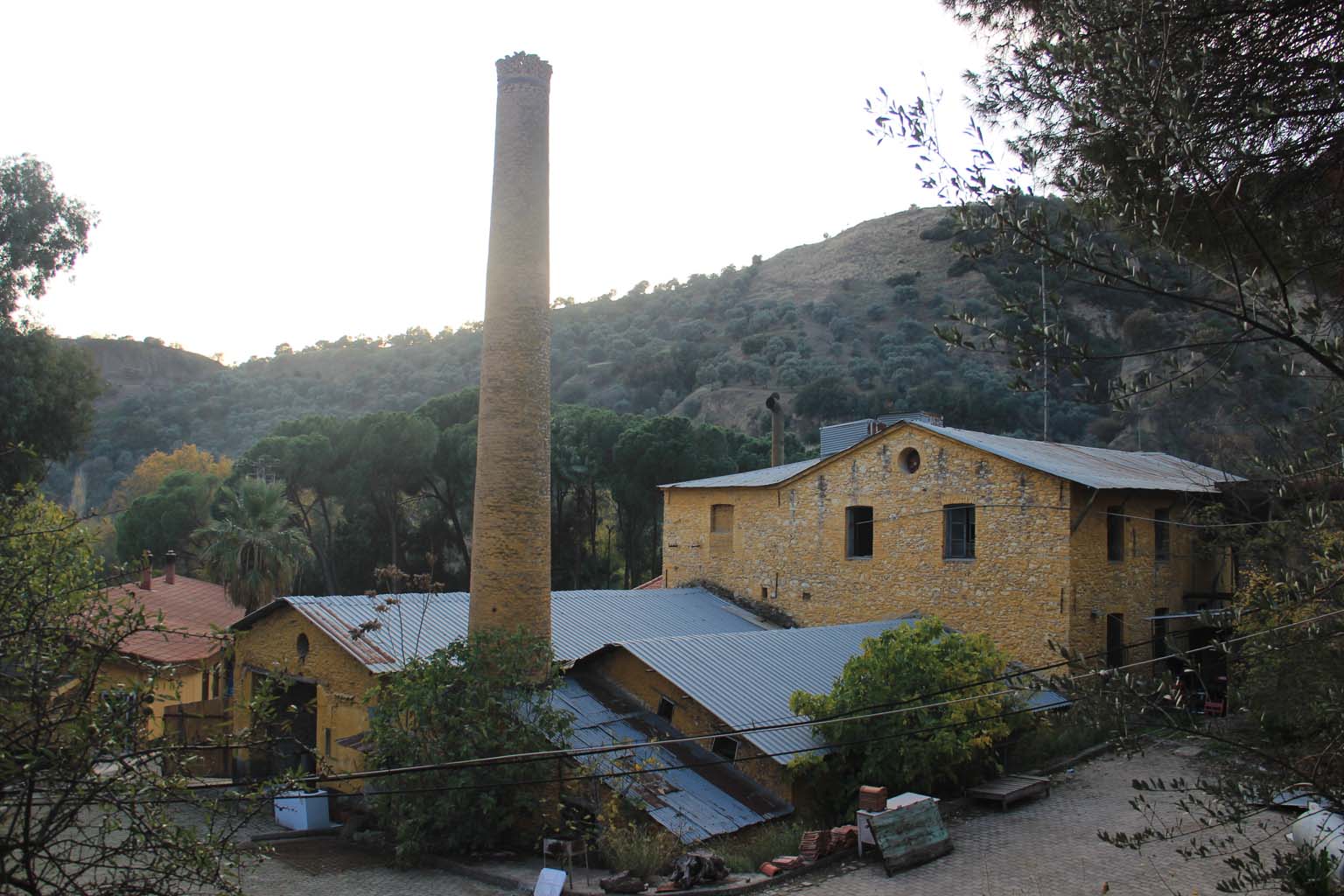 Bir asırdır ayakta