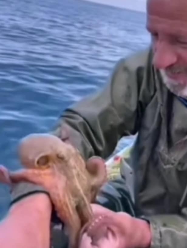 Yakaladığı ahtapotu öpüp sevdi, denize bıraktı