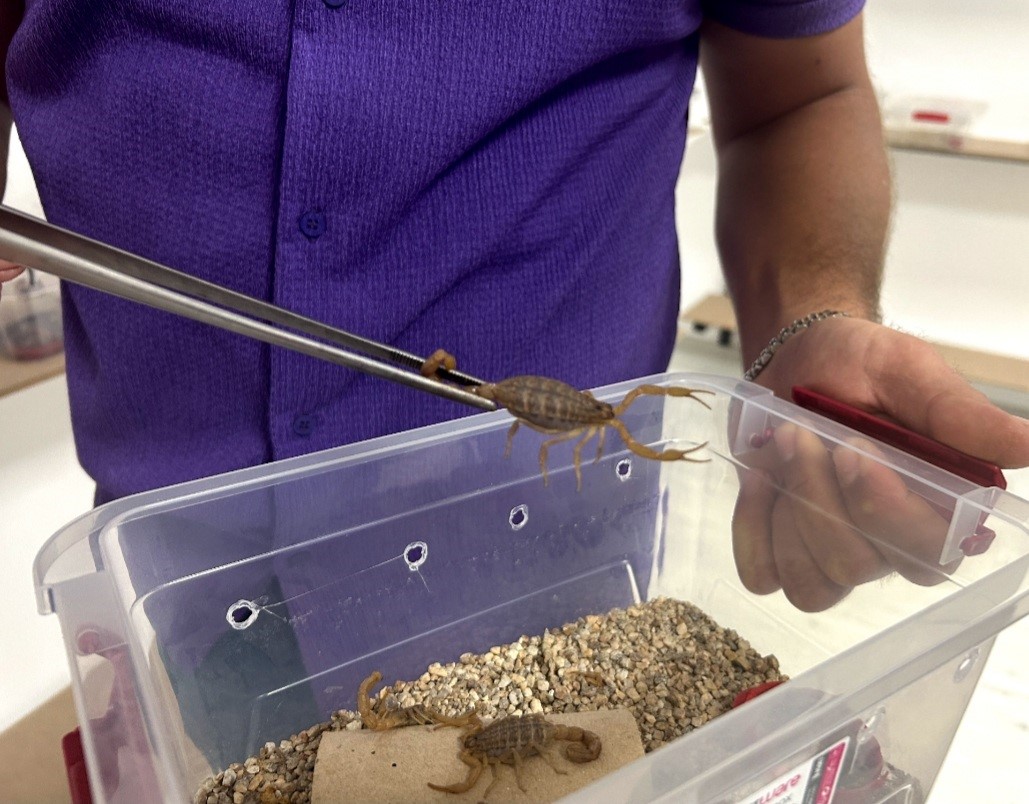 Sarı akrep ve zehir üretim tesisi kuruldu