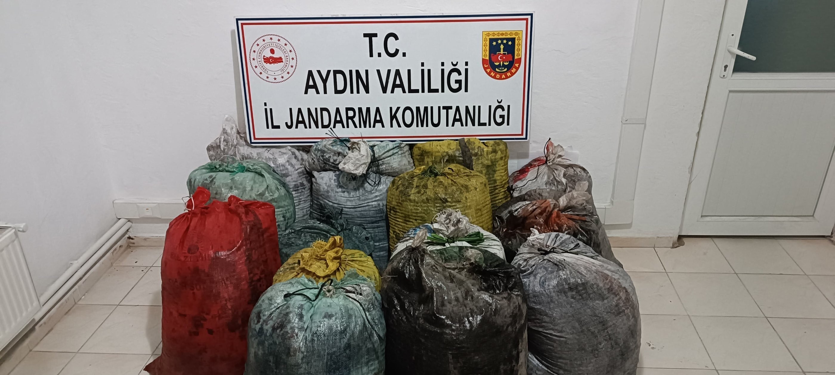 İzinsiz zeytin toplayan 11 şüpheli yakalandı