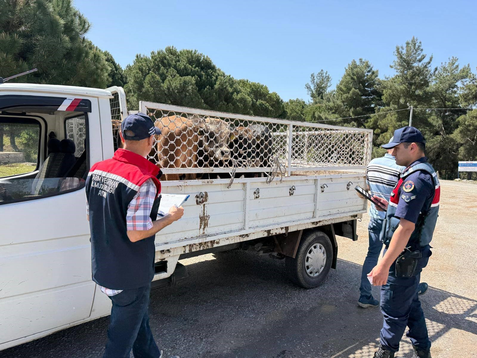 Canlı hayvan nakil araçları denetlendi