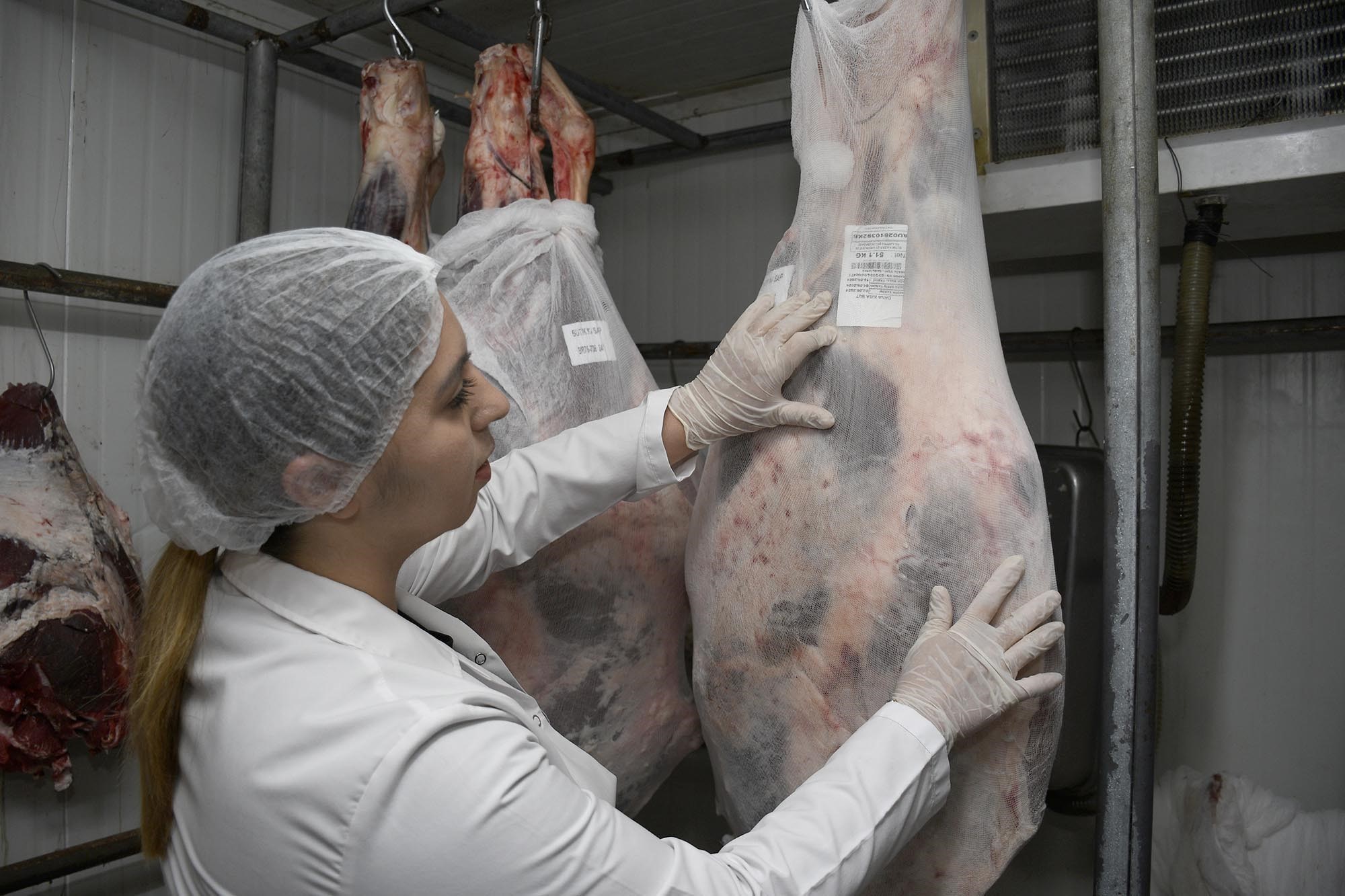 Aydın’da kurban kesim ücretleri belli oldu