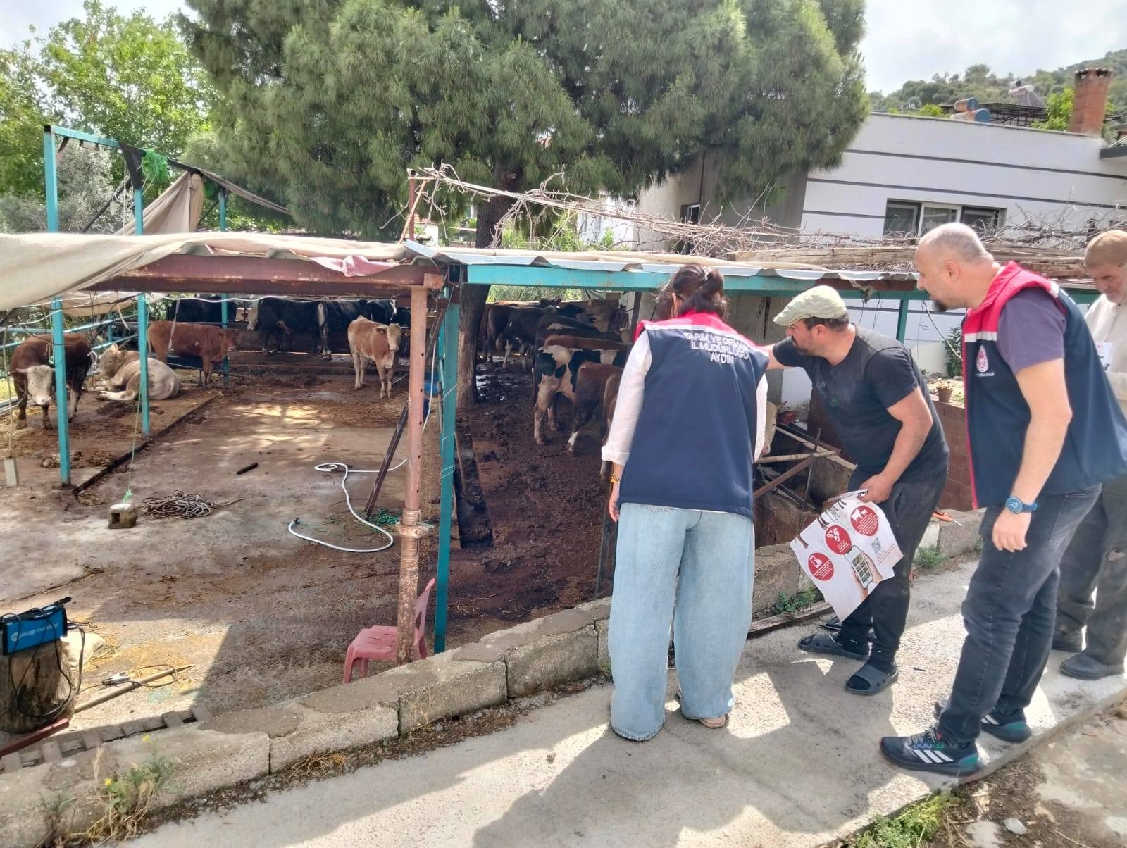 Aydın'da kurban satış ve kesim yerleri denetlendi