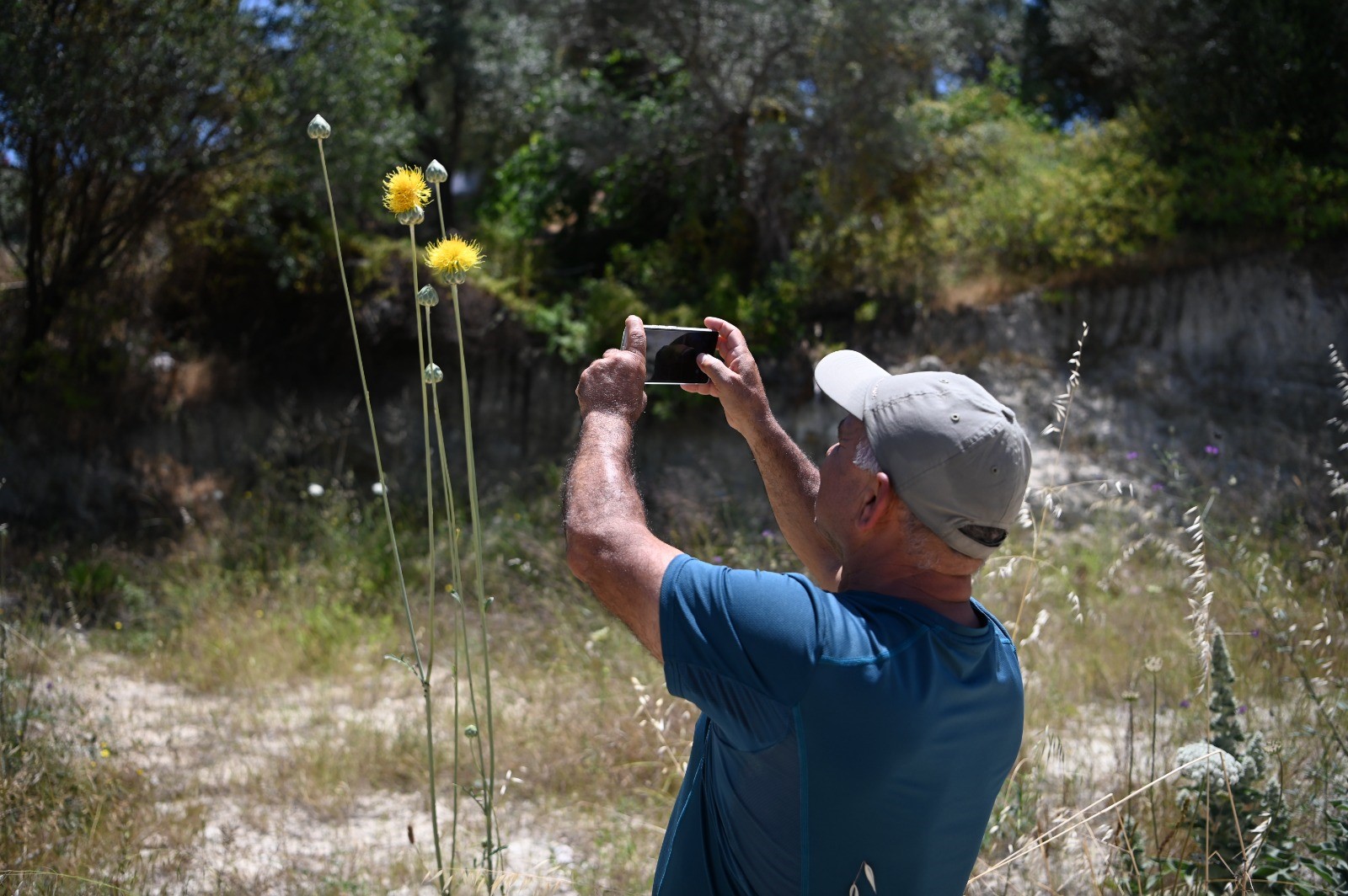'Tülüşah' çiçek açtı
