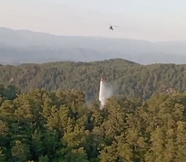 Aydın ve Muğla’daki orman yangınlarına hızlı müdahale