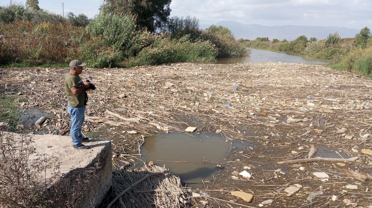 Tarihi köprüde sular yeşillendi, doğaseverler sorunlara dikkat çekti