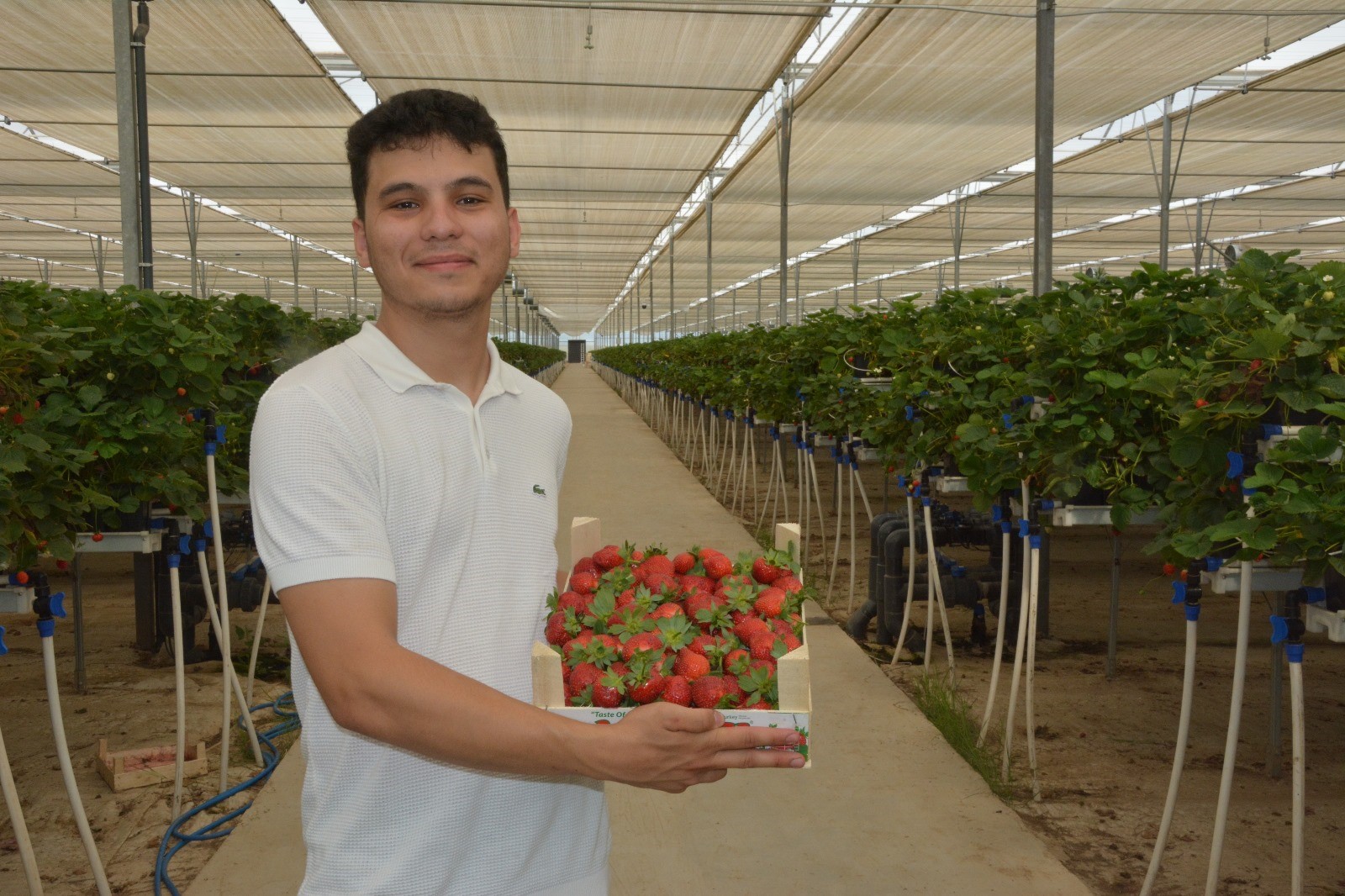 Tarımı, teknolojiyle birleştirdi yaşıtlarına örnek oldu