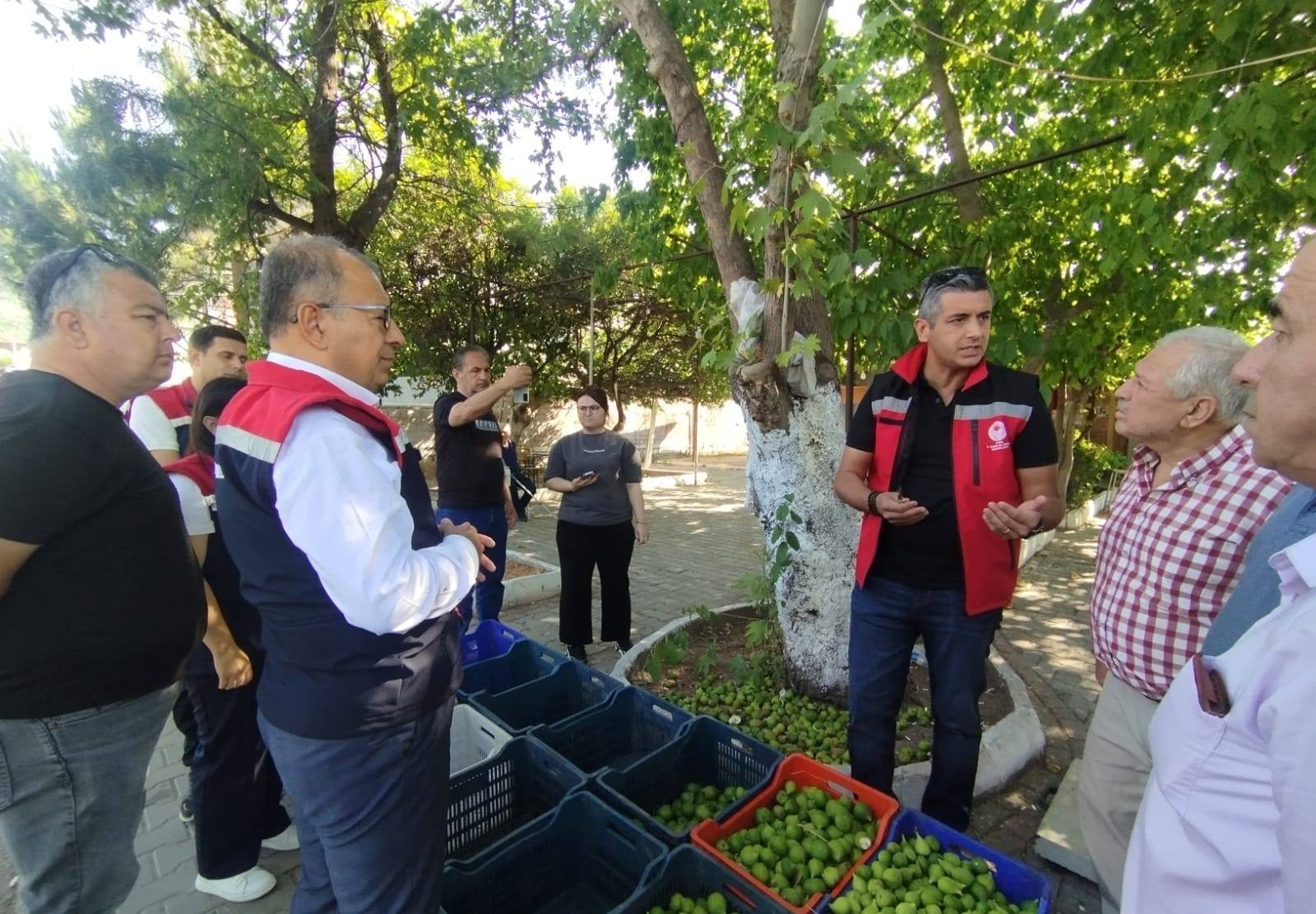 İlek tezgahları denetlendi