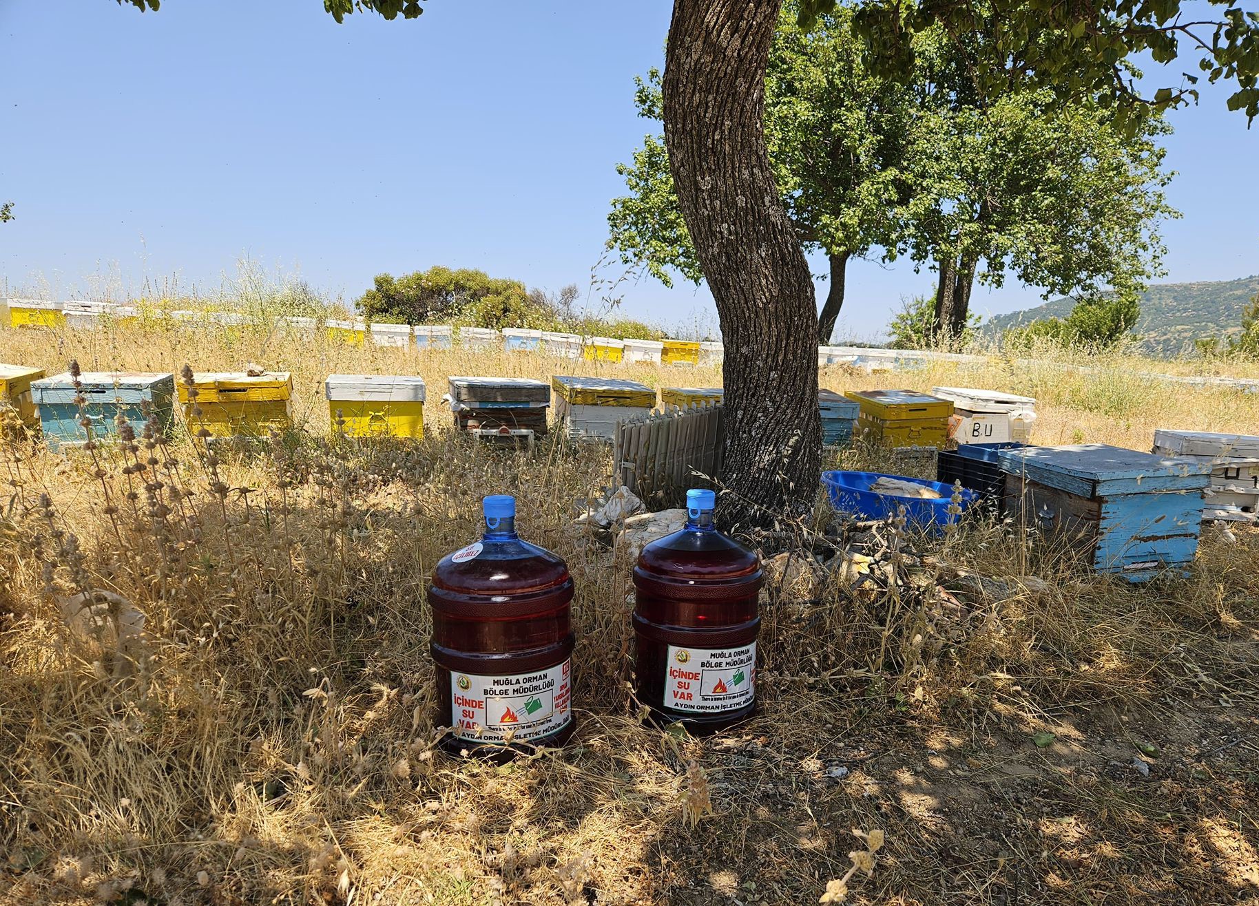 Aydın’da yangınlara ilk müdahale için damacana çözümü