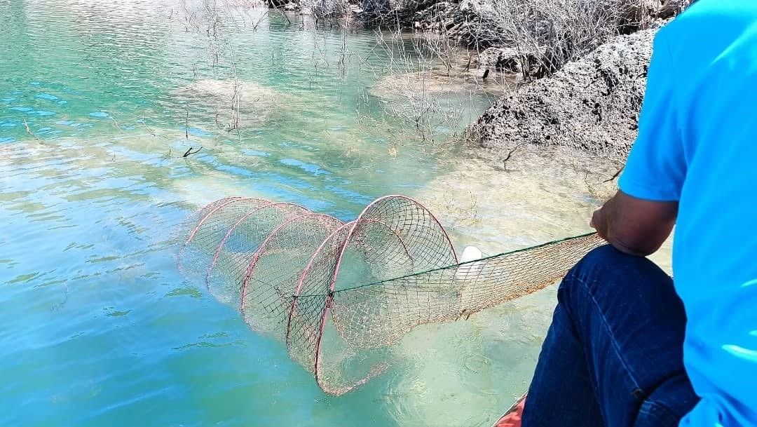 Aydın’da hayalet ağ mücadelesi