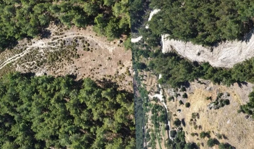 Orman yangınlarına karşı önleyici temizlik çalışması yapıldı