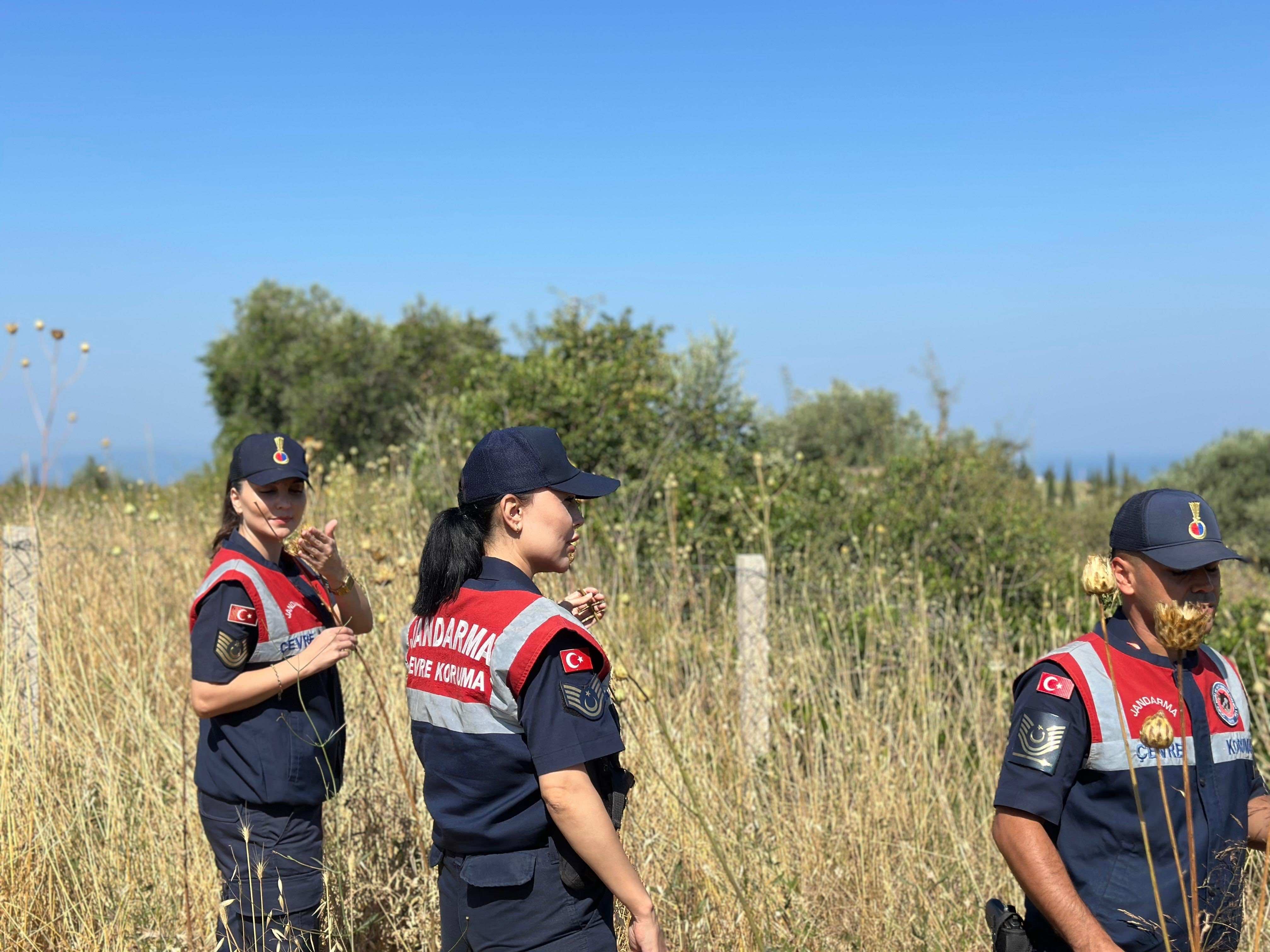 'Tülüşah' bitkisine zarar veren 557 bin lira ceza ödeyecek