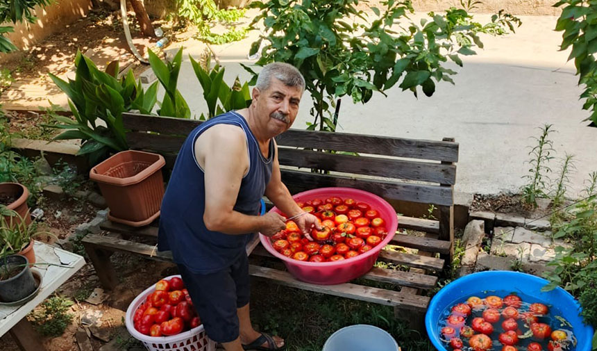 Aydın’da salça yapım telaşı başladı