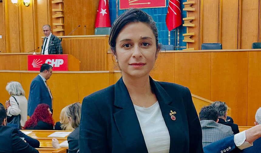 Nilüfer Tektaş Cevahir: Unutulmamalıdır ki siyasi temsilcilerin her sözü eleştiriye açıktır