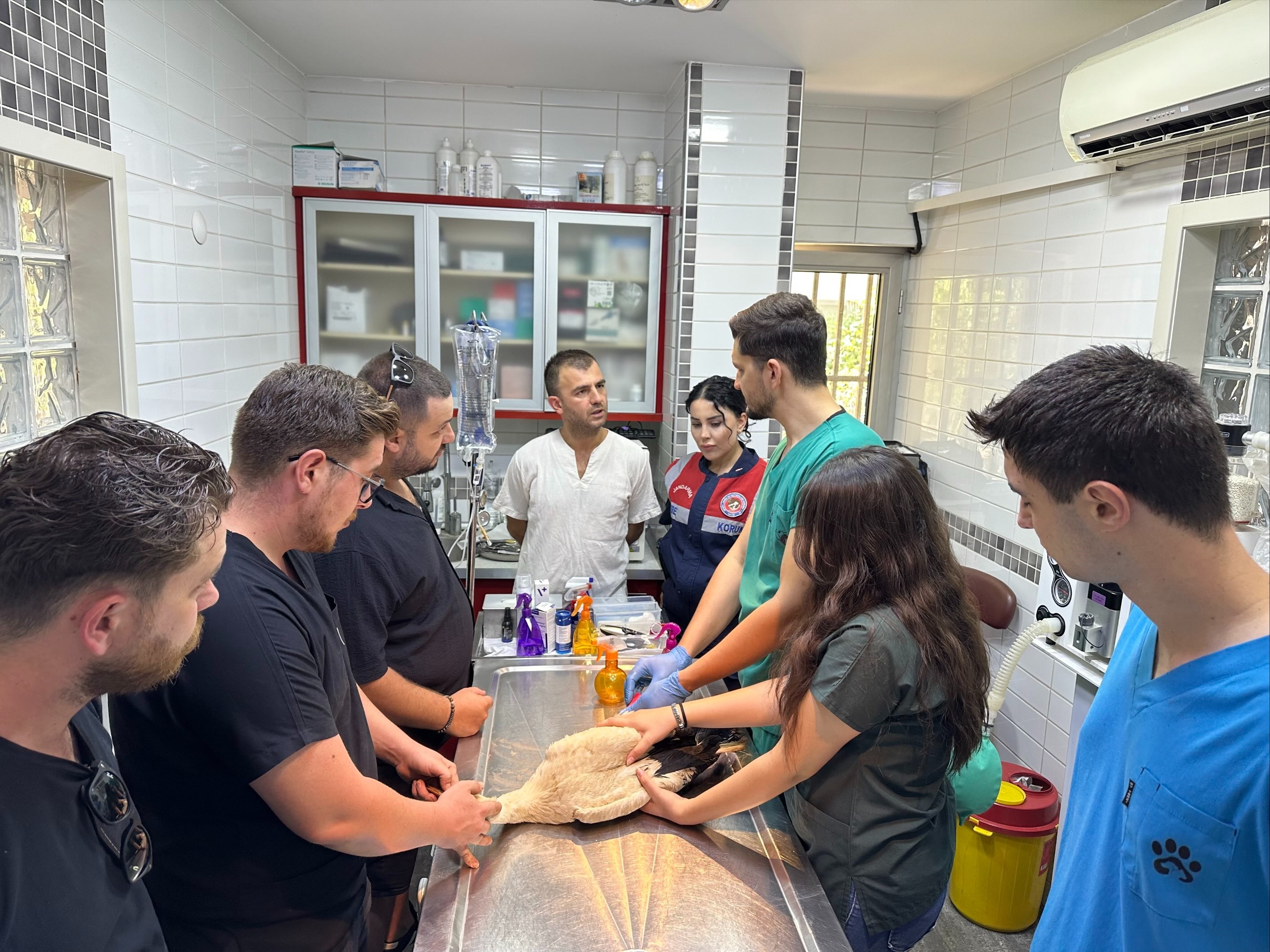 Jandarma yaralı leyleği veterinere ulaştırdı