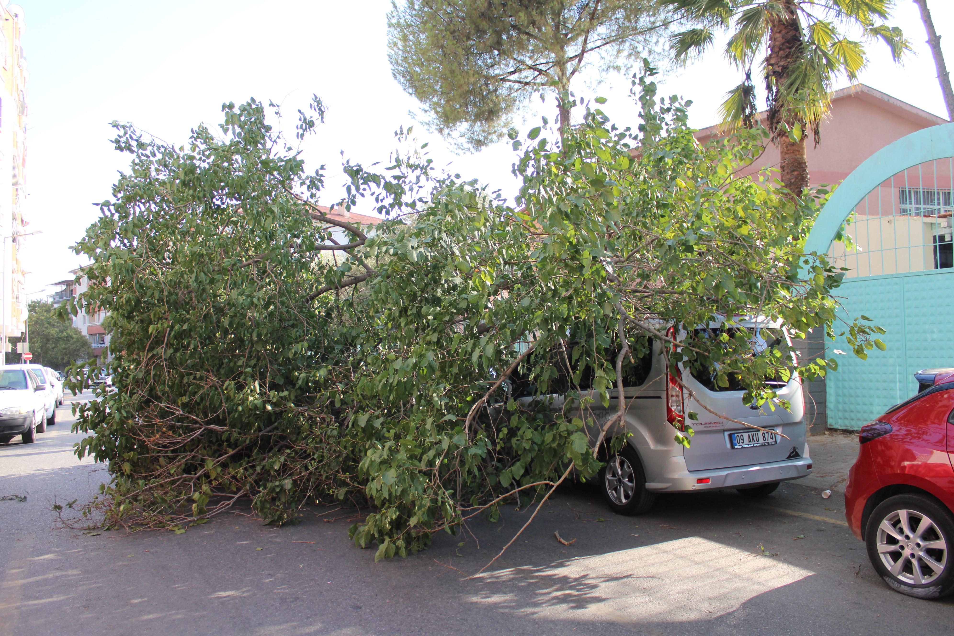 Park halindeki araca ağaç devrildi