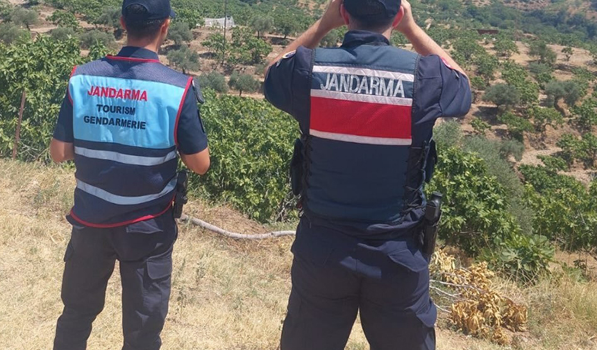 Ormanlar hem karadan hem havadan korunuyor