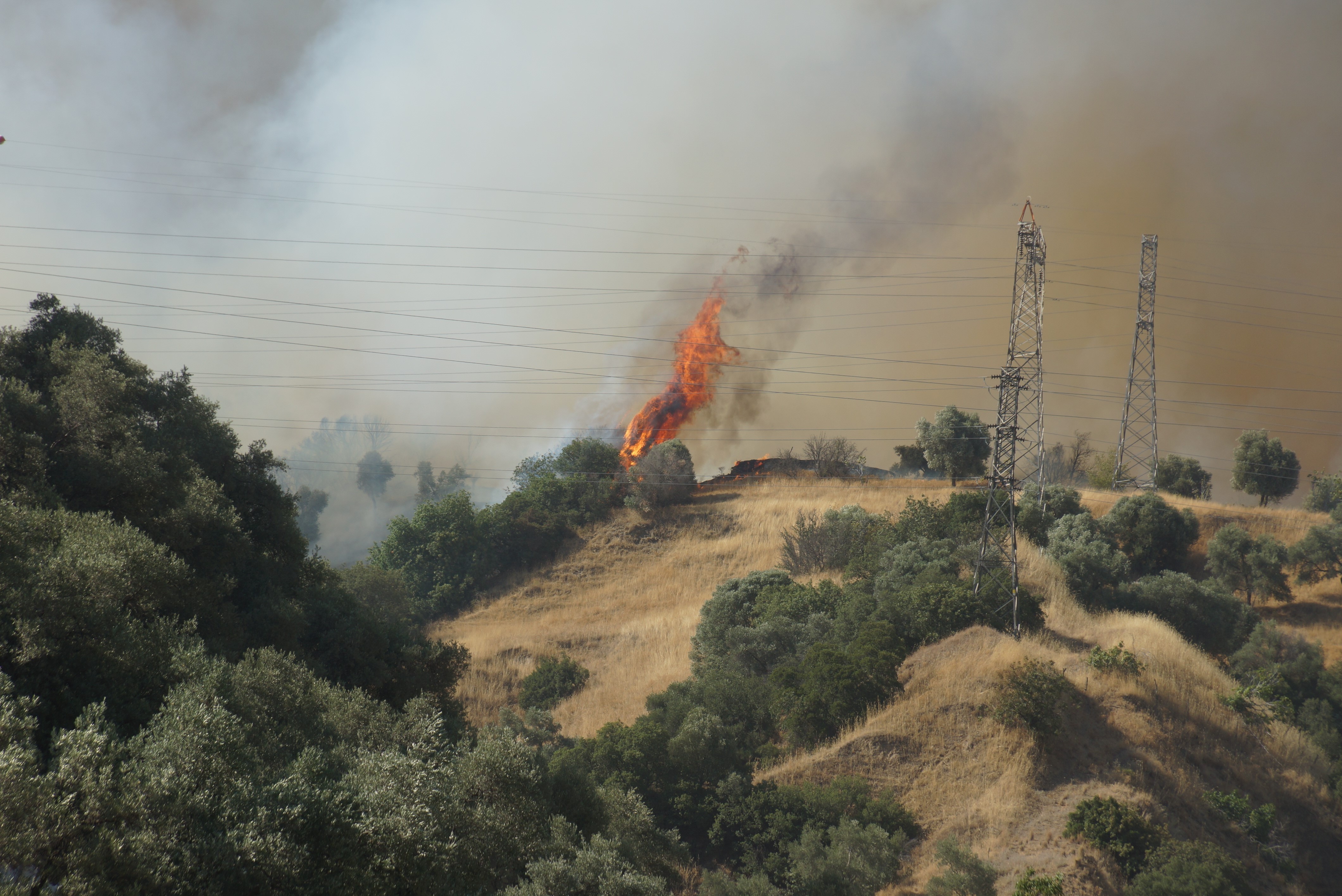 Aydın Valisi Canbolat: Yangın kontrol altına alındı