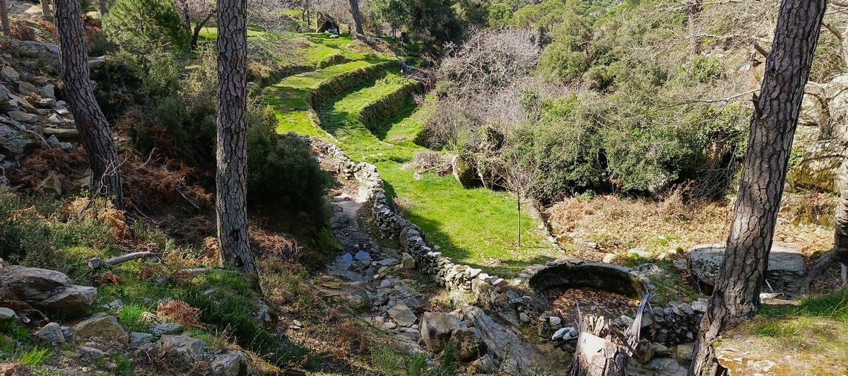 Latmos'ta yeni kaya resimleri tespit edildi, bölge 1. derece arkeolojik sit ilan edildi