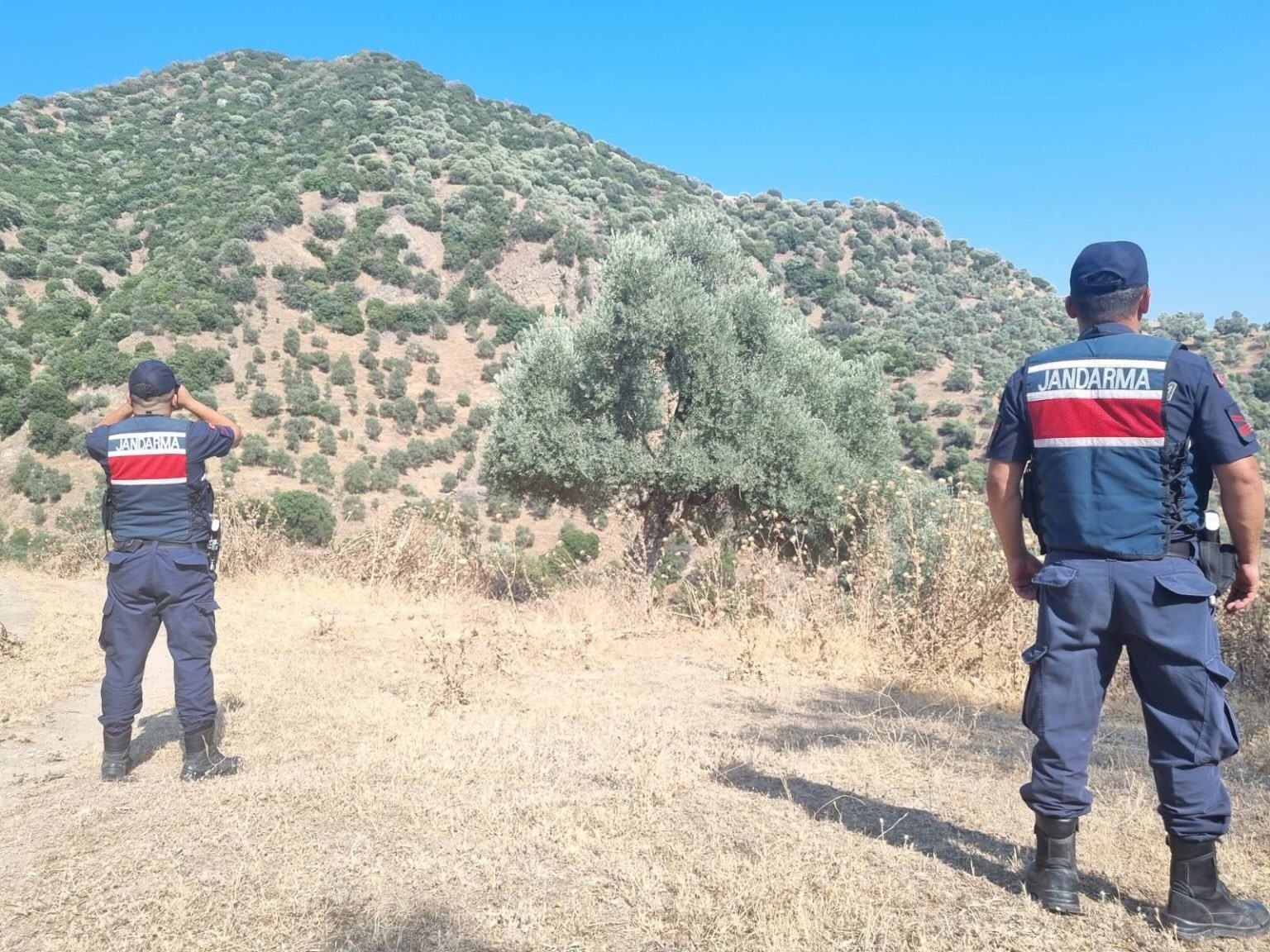 Jandarma Aydın’da yangın nöbetinde