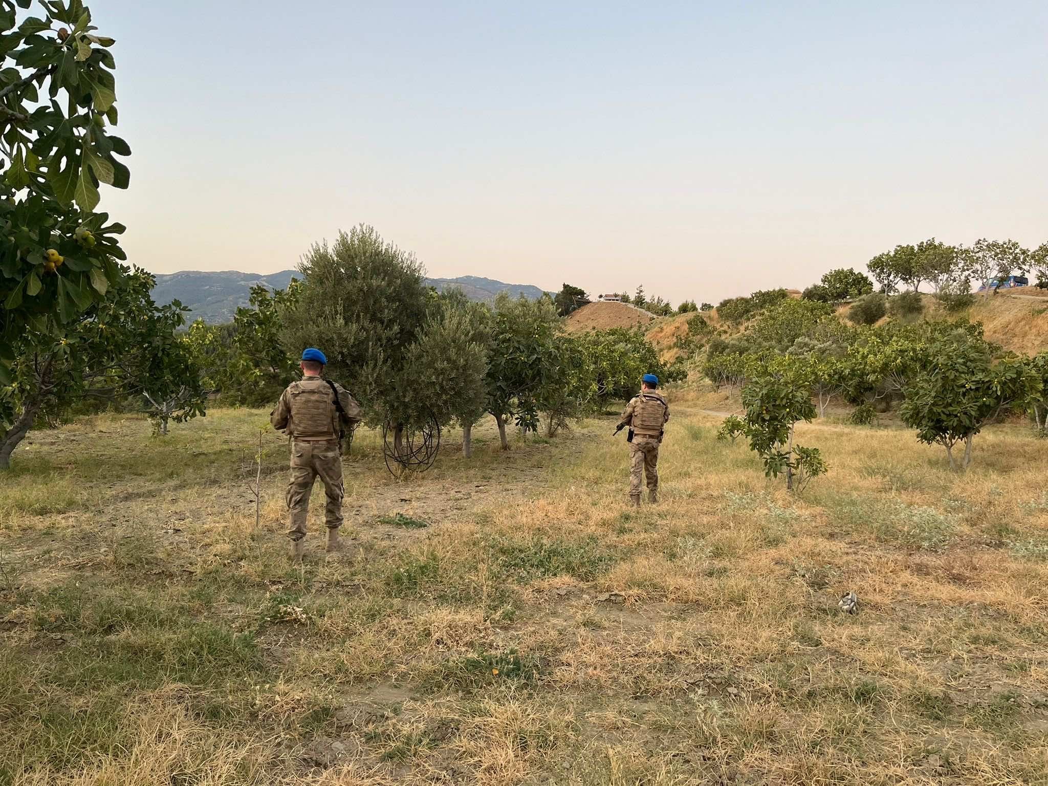 Jandarma incir hırsızlarına geçit vermiyor