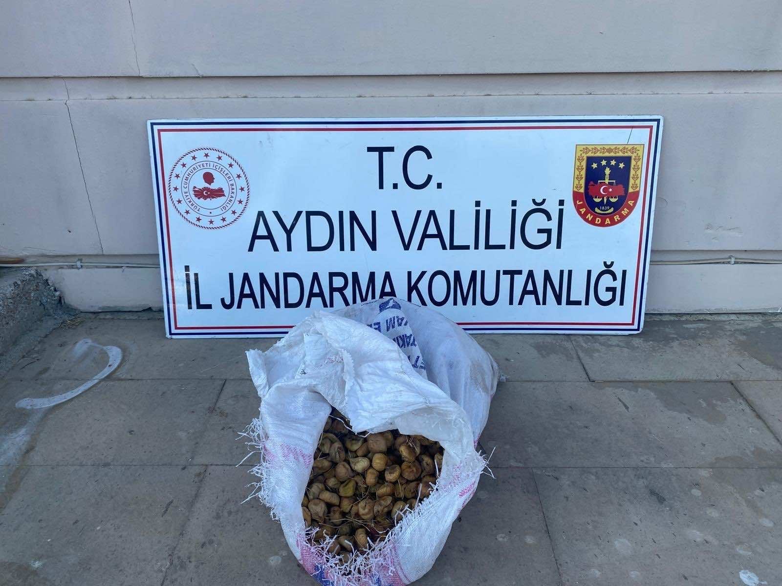 Bahçeden 50 kilo incir çalan şüpheliler jandarmadan kaçamadı
