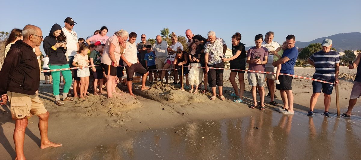 Caretta carettalar denizle buluştu