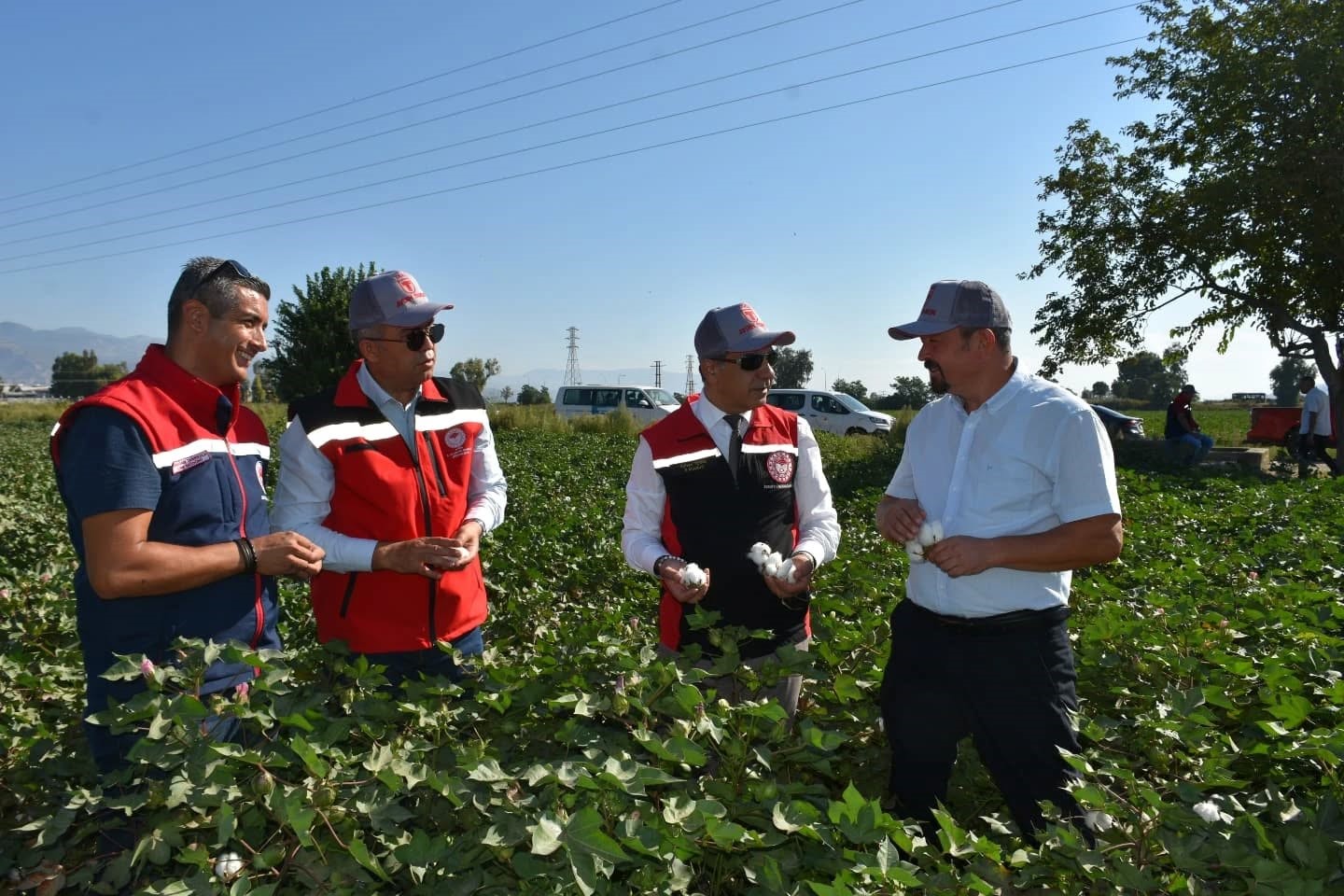 Tarım İl Müdürü Temiz: Pamuk Aydın için stratejik bir ürün