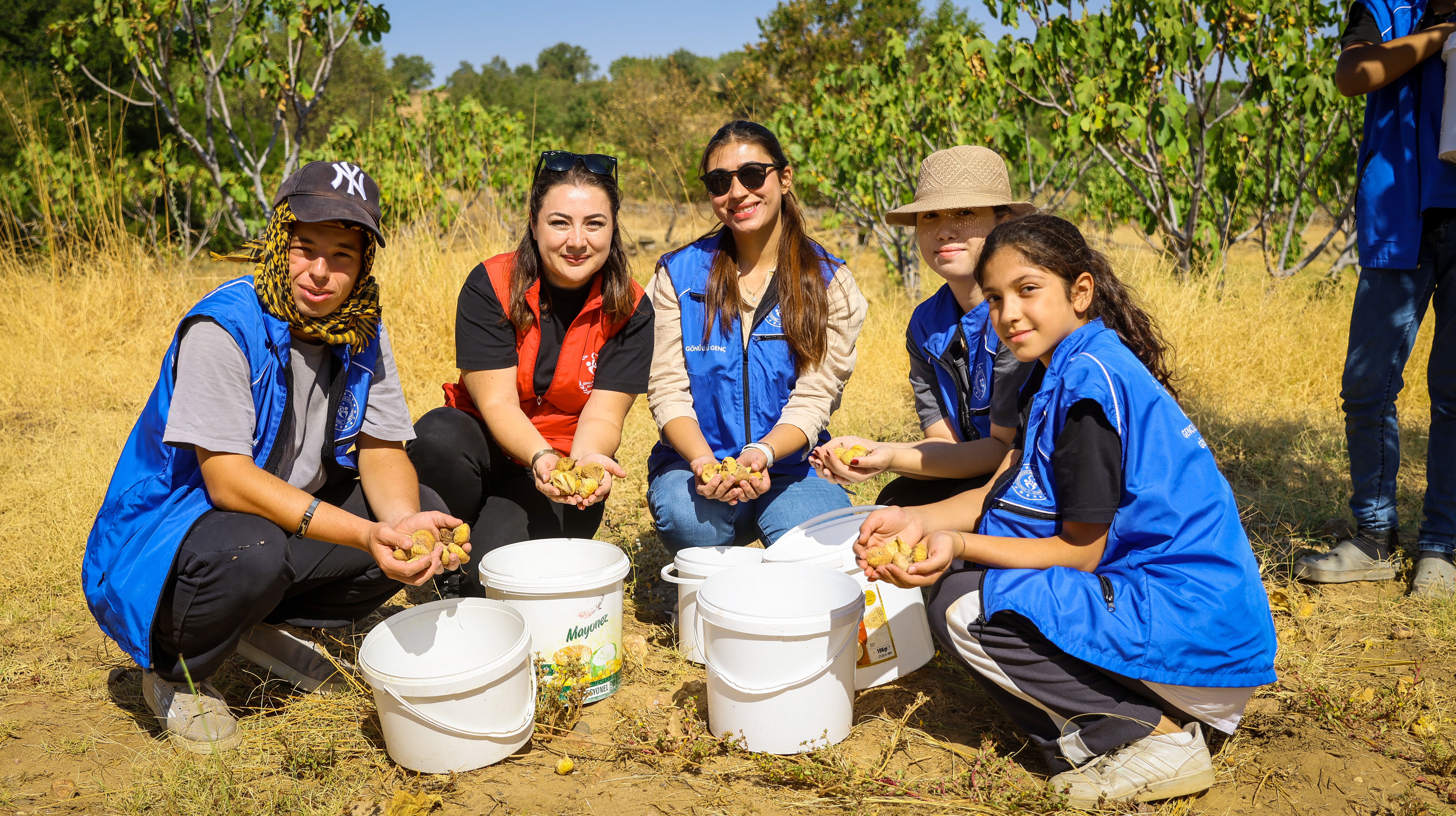 Gönüllü gençler incir üreticisinin alın terine ortak oldu