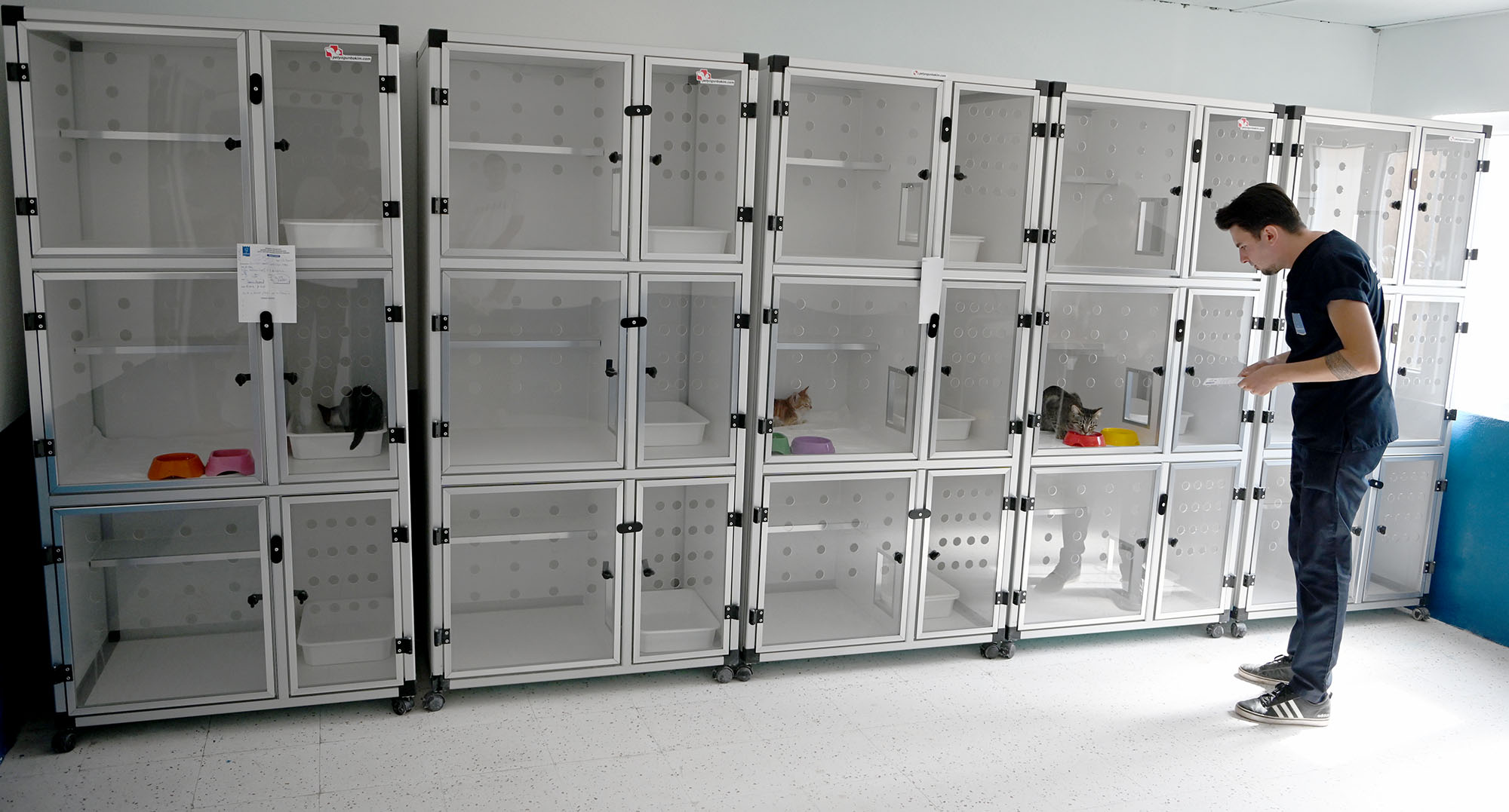 Kuşadası Belediyesi’nden patili dostların sağlığı için önemli bir adım daha